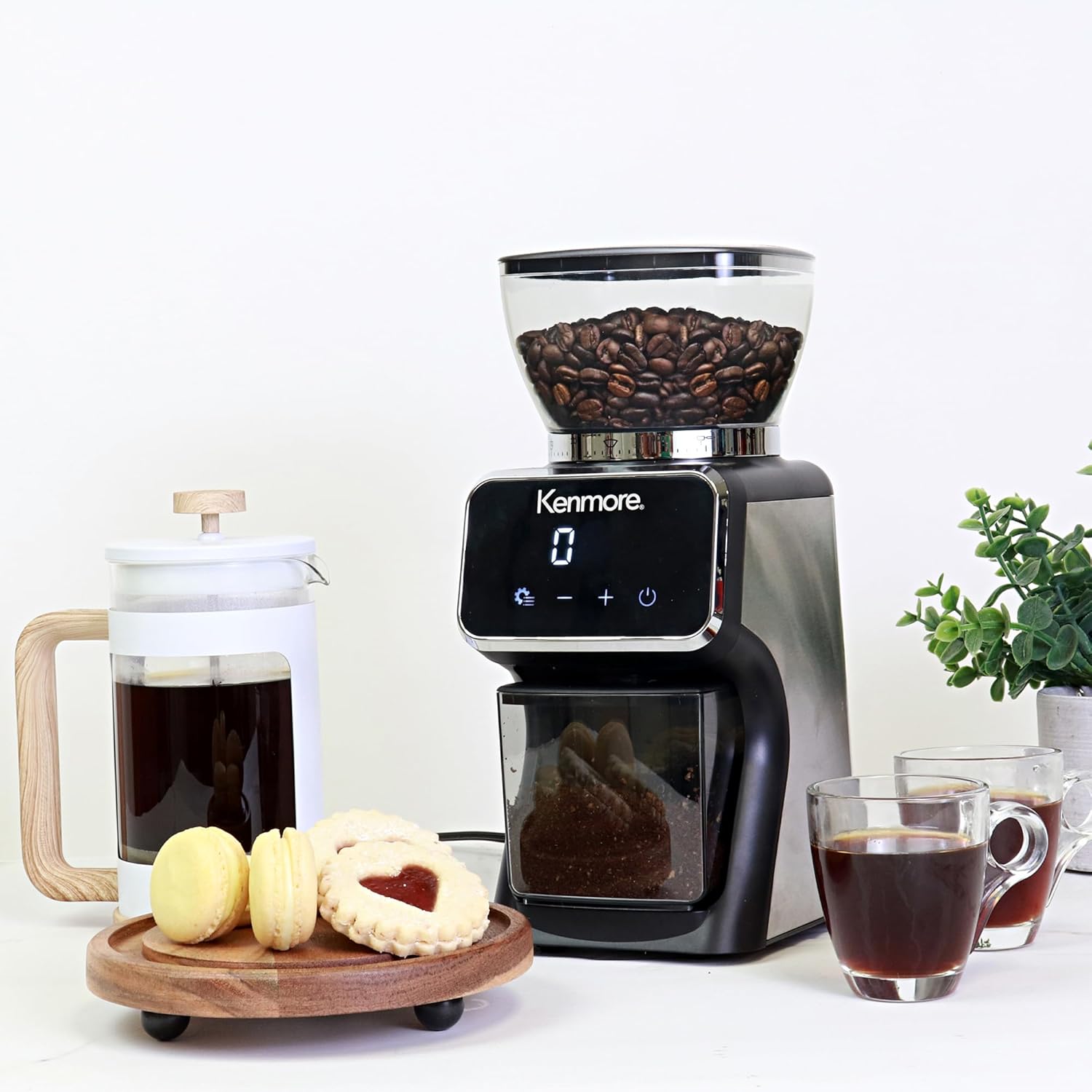 Kenmore Conical Burr Coffee Gr - French Press Coffee & Tea reseña y precio