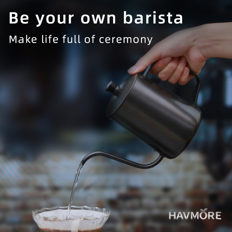 HAVMORE 304 Stainless Steel Te - Tea And Coffee Kettle reseña y precio