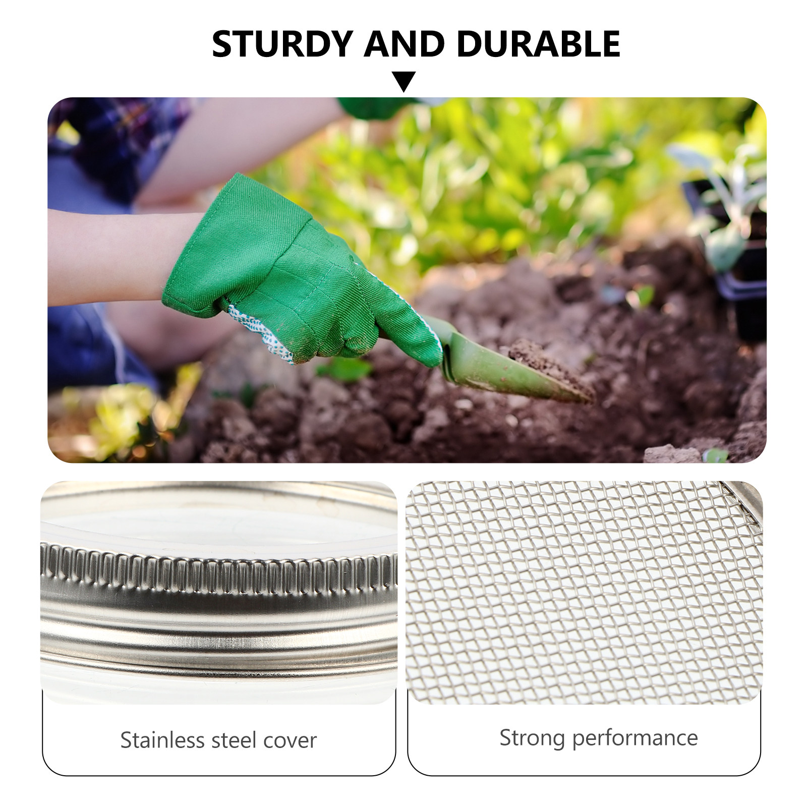 3Pcs Stainless Steel Sprouting - Coffee Tea Beans reseña y precio