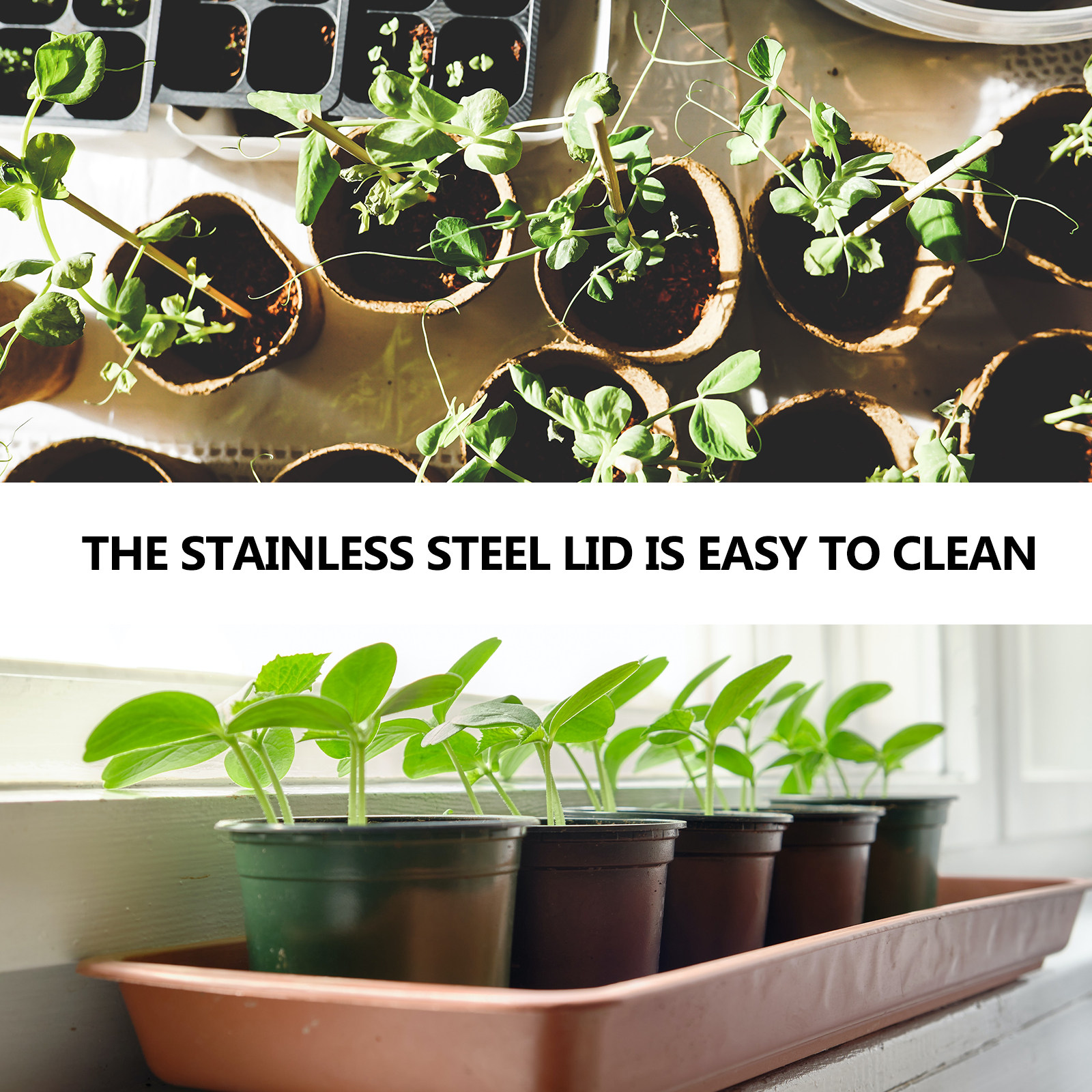 3Pcs Stainless Steel Sprouting - Coffee Tea Beans reseña y precio